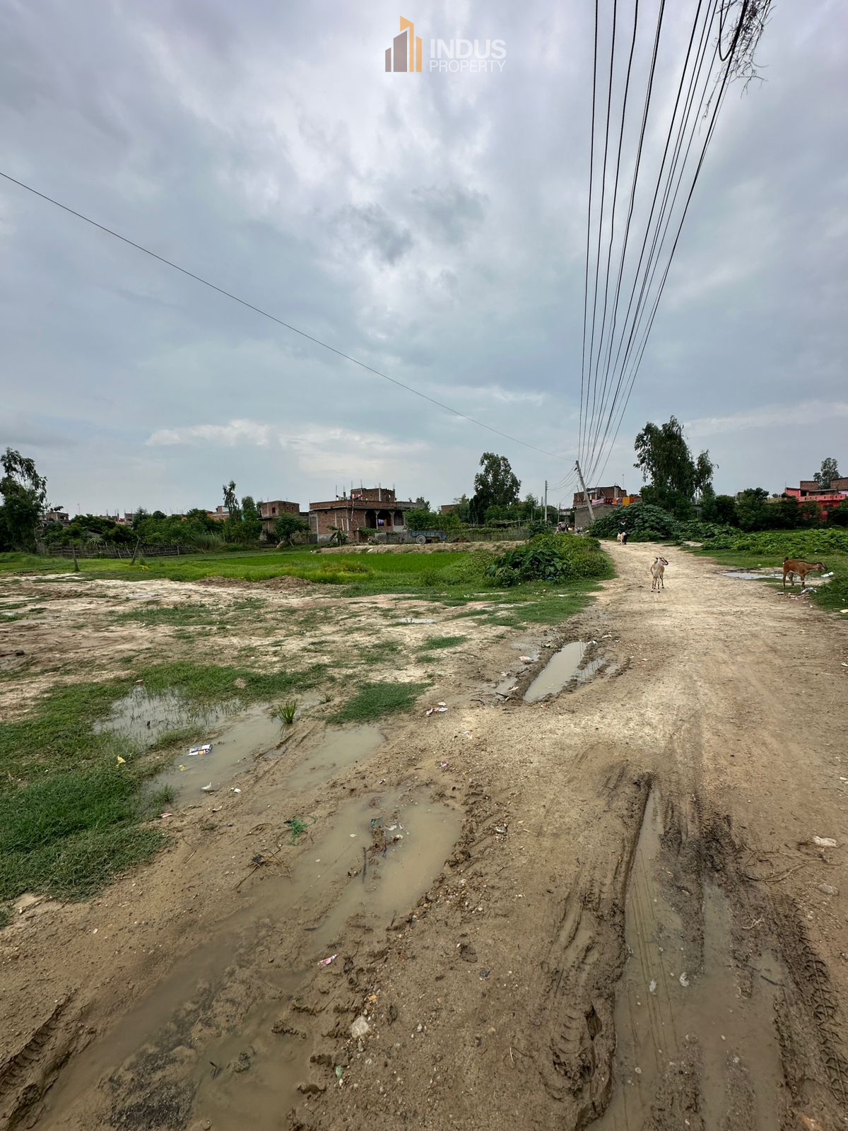 Picture of Janakpur Sub Metropolitan City, Madhesh